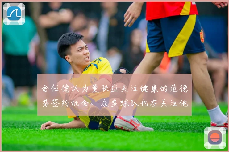 舍伍德认为曼联应关注健康的范德芬签约机会，众多球队也在关注他