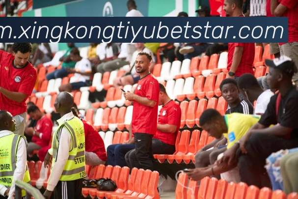 星空体育平台生态图